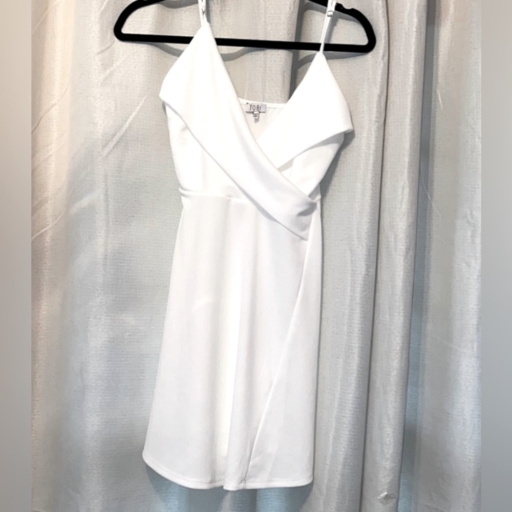 Tobi Skater dress